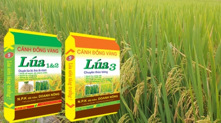  Cảnh báo sâu bệnh hại cây trồng và khuyến nghị phòng trừ vụ Mùa 2025