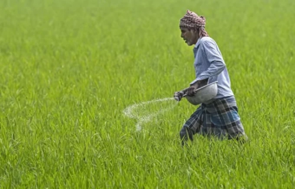  Ngành phân bón thế giới 'gặp khó' vì xung đột Trung Đông