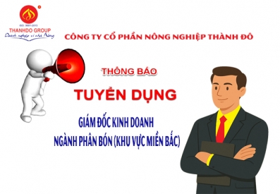  THÔNG BÁO TUYỂN DỤNG GIÁM ĐỐC KINH DOANH