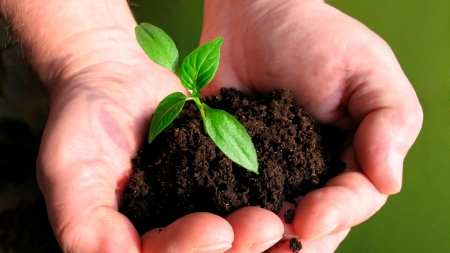 Rủi ro chính sách toàn cầu và triển vọng phân hóa của ngành phân bón