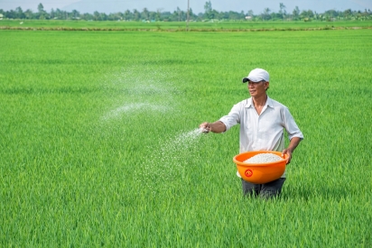  Bón phân thông minh, chìa khóa tiết kiệm chi phí trong nông nghiệp