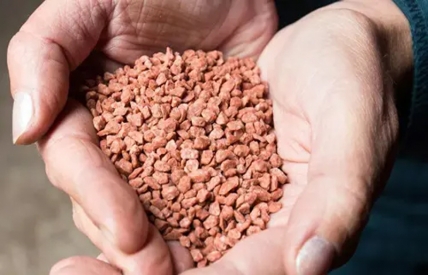 Xuất khẩu phân bón 8 tháng đầu năm 2025 tăng trưởng tốt