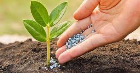  Xuất khẩu phân bón 5 tháng đầu năm 2025 trị giá 372,02 triệu USD