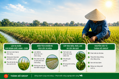Chủ động ứng phó nắng nóng, bảo vệ cây trồng vụ Hè miền Bắc hiệu quả