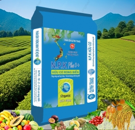 NPK 19 -3 -3 hữu cơ rong biển