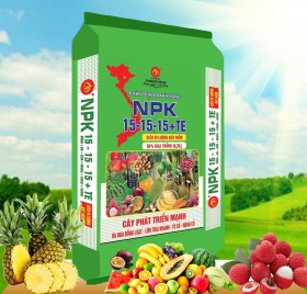 NPK 15-15-15+TE