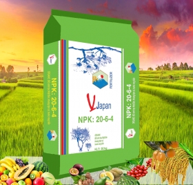 NPK: 20-6-4