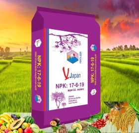 NPK: 17-6-19